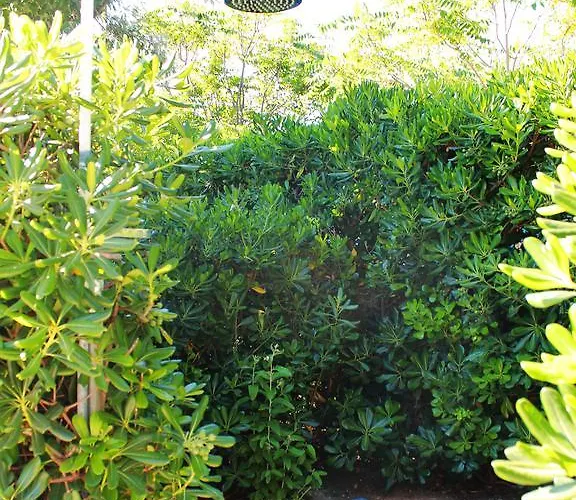 בית נופש Perla Di Mare